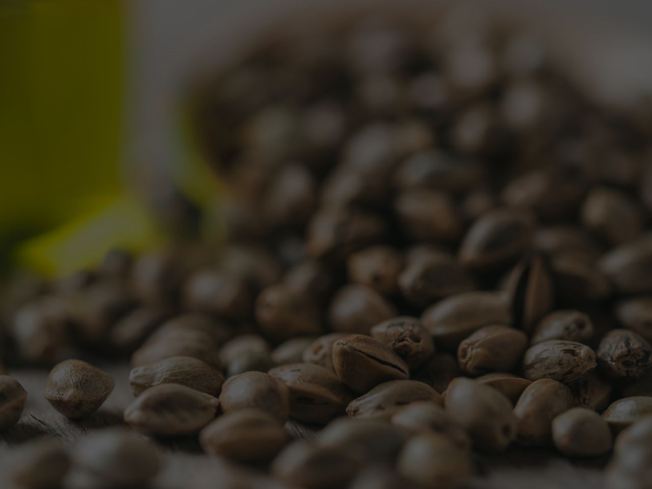 ¡Bienvenidos a <strong>Semilleros Viajeros!</strong> <br> ¡Únete a nuestra  <strong>comunidad botánica!</strong> </br>